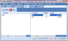 具備明細碼管理的藍格布業(yè)紡織銷售管理軟件，廣州軟件開發(fā)助力行業(yè)升級