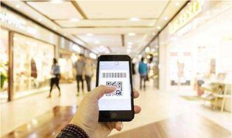 《戰斗雞系統軟件開發 廣州軟件行業的創新實踐》