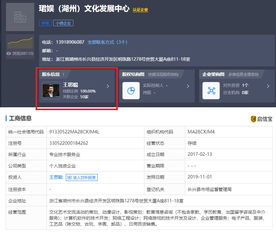 王思聰再被限制消費，計算機軟件技術開發背后的法律警示